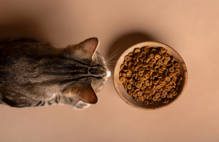 Cat Nutrition - PawrPose